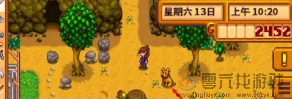 星露谷物语宠物怎么获得(图5) 星露谷物语宠物怎么获得(图5)